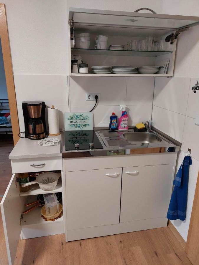 Apartment Celik *